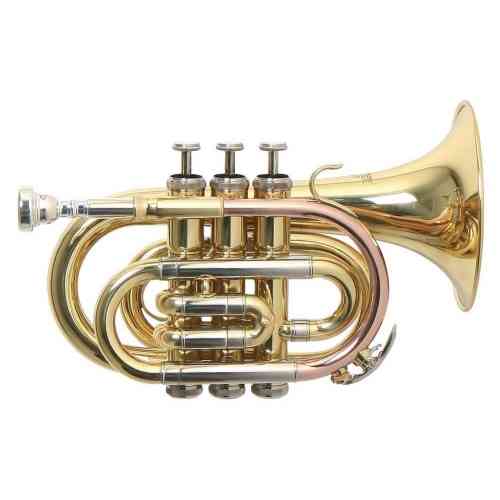 Музыкальная труба Roy Benson PT-302 Bb #1 - фото 1