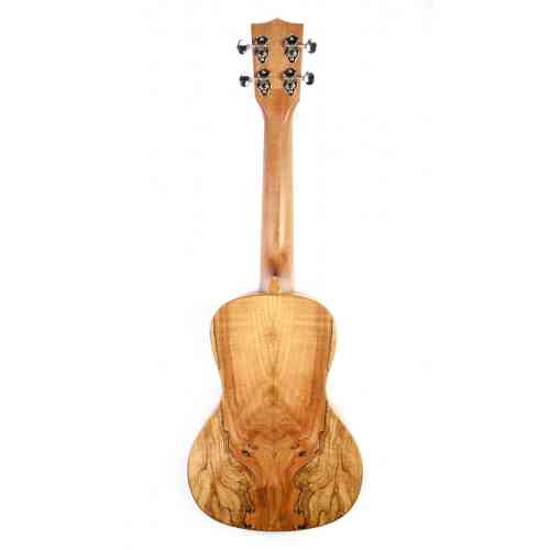 Акустическое укулеле Kala KA-SMC Kala Spalted Maple Concert Ukulele #3 - фото 3