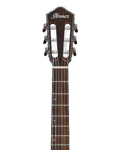 Электроакустическая гитара Ibanez AEWC300N NNB #3 - фото 3