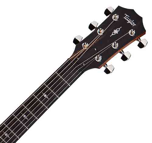 Электроакустическая гитара Taylor 317e #4 - фото 4