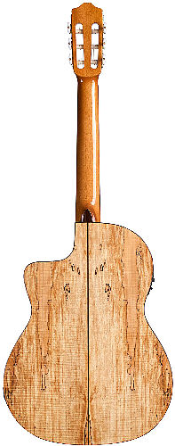 Электроакустическая гитара Cordoba C5-CET SPALTED MAPLE LIMITED #4 - фото 4