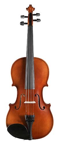 Скрипка 4/4 Strunal 160A-4/4 Siena  #1 - фото 1
