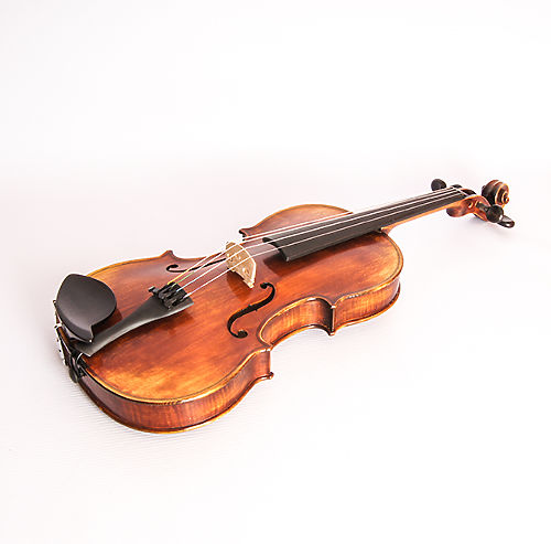 Скрипка 4/4 Strunal 194-4/4 Pienza  #2 - фото 2