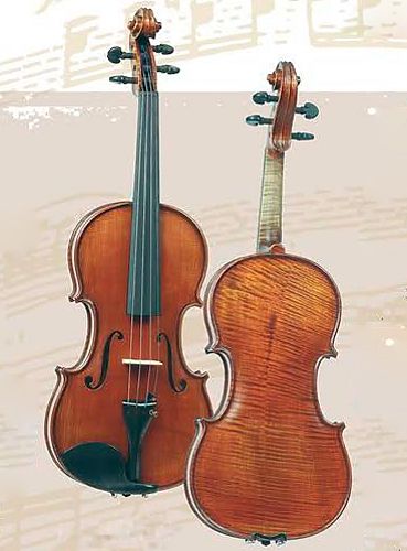 Скрипка 4/4 Gliga P-V044-O Professional Gama OPB  #1 - фото 1
