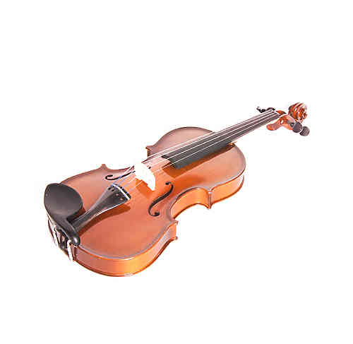 Скрипка 4/4 Gliga B-V044-Set Beginer Genial 2 Nitro  #2 - фото 2