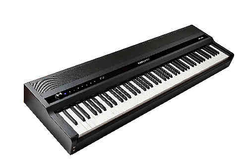 Цифровое пианино Kurzweil MPS110 черное #2 - фото 2
