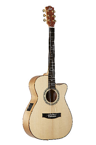 Акустическая гитара Maton EBG808C-MIC-FIX  #3 - фото 3