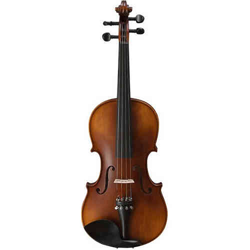 Скрипка 1/2 Strunal 920A-1/2 Ravena  #1 - фото 1