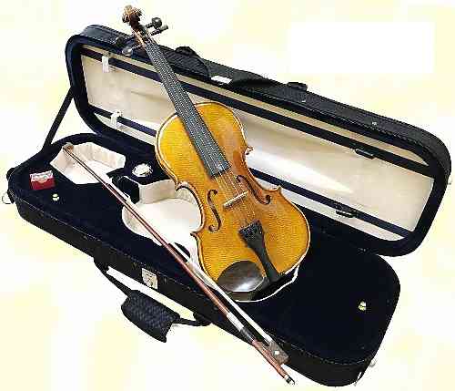 Скрипка 4/4 Hans Klein HKV-590SG 4/4  #1 - фото 1