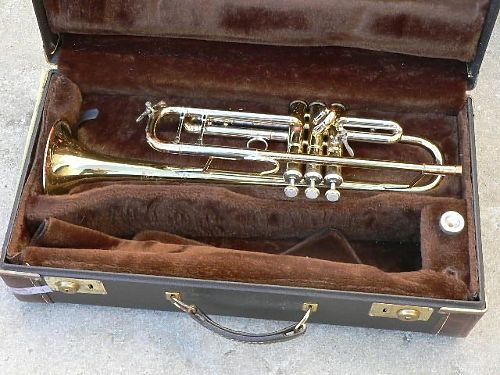 Чехол, кейс, футляр для трубы Vincent Bach Stradivarius  #2 - фото 2