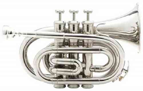 Музыкальная труба Brahner TM-510SP  #1 - фото 1