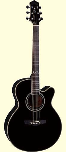 Акустическая гитара Naranda F303CBK #1 - фото 1