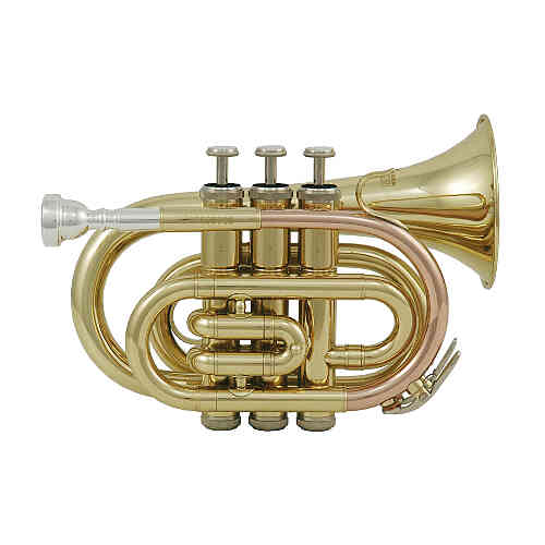 Музыкальная труба МегАтоН ТРМ-58  #1 - фото 1