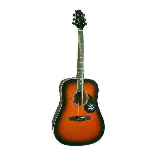 Акустическая гитара GREG BENNETT GD100S/VS  #1 - фото 1