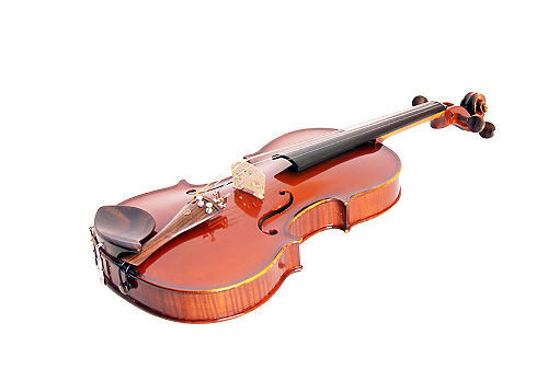 Скрипка 4/4 Strunal 333w-4/4  #3 - фото 3