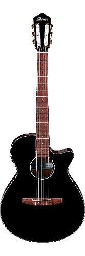 Электроакустическая гитара Ibanez AEG50N-BKH #2 - фото 2
