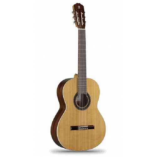 Классическая гитара Alhambra 842-1C Classical Student 1C  #1 - фото 1