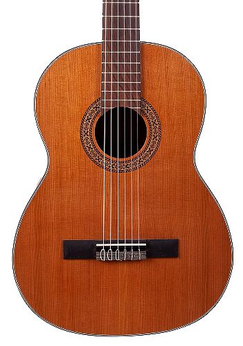 Классическая гитара Martinez FAC-1050  #1 - фото 1