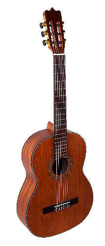 Классическая гитара Martinez FAC-1050  #3 - фото 3