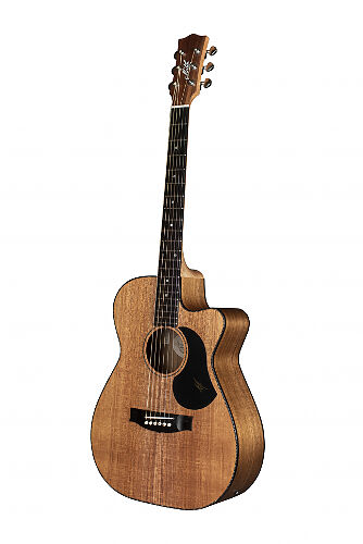 Электроакустическая гитара Maton EBW808C  #2 - фото 2