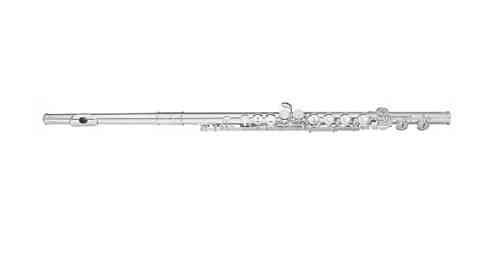 Поперечная флейта Trevor James Privilege 31PF-ROESLR  #1 - фото 1