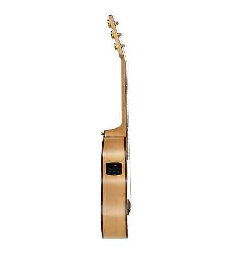 Электроакустическая гитара Poni TR2-1  #3 - фото 3