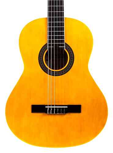 Классическая гитара Aria FIESTA FST-200-53 N  #1 - фото 1