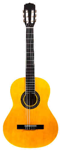 Классическая гитара Aria FIESTA FST-200-53 N  #3 - фото 3