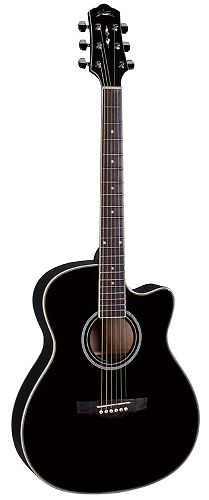 Акустическая гитара Naranda TG220CBK  #1 - фото 1