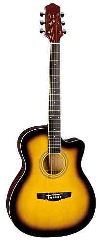 Акустическая гитара Naranda TG120CTS  #1 - фото 1