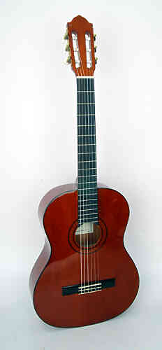 Классическая гитара Naranda CG220-4/4  #1 - фото 1