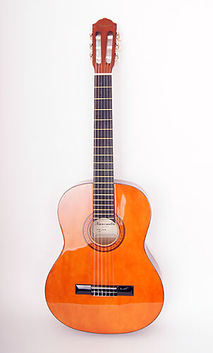 Классическая гитара Naranda CG120-4/4  #1 - фото 1