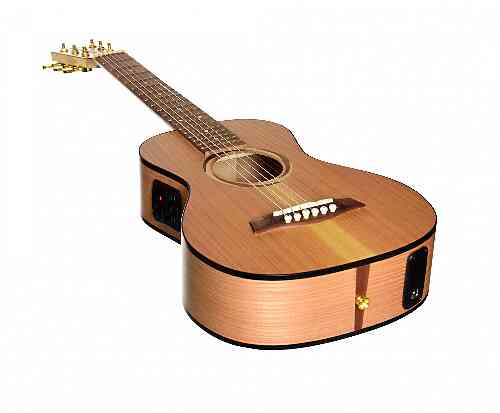 Электроакустическая гитара Poni TR1-2  #1 - фото 1
