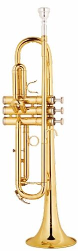Музыкальная труба Gebr.Stolze TR-100G  #1 - фото 1
