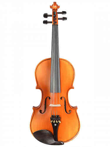 Скрипка 4/4 Andrew Fuchs M-2 4/4  #2 - фото 2