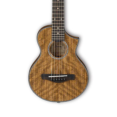Акустическая гитара IBANEZ EWP14WB-OPN  #1 - фото 1
