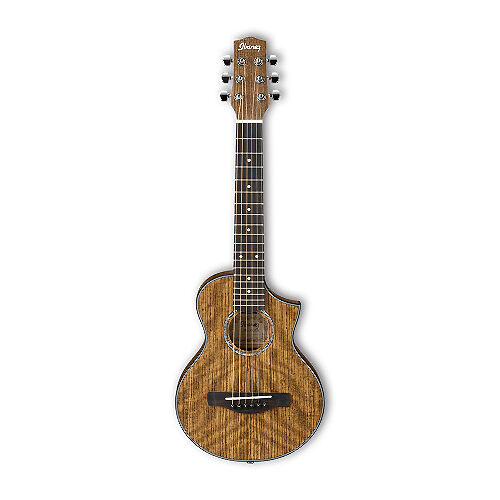 Акустическая гитара IBANEZ EWP14WB-OPN  #2 - фото 2