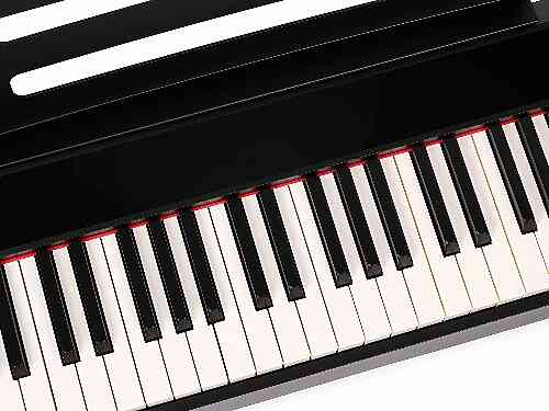 Цифровое пианино Nux Cherub NPK-10-BK  #3 - фото 3