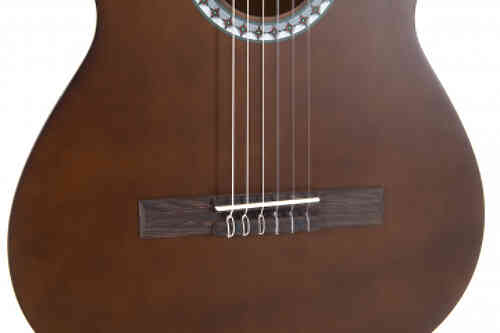 Классическая гитара GEWA pure Classical Guitar Basic Honey Walnut 4/4  #6 - фото 6