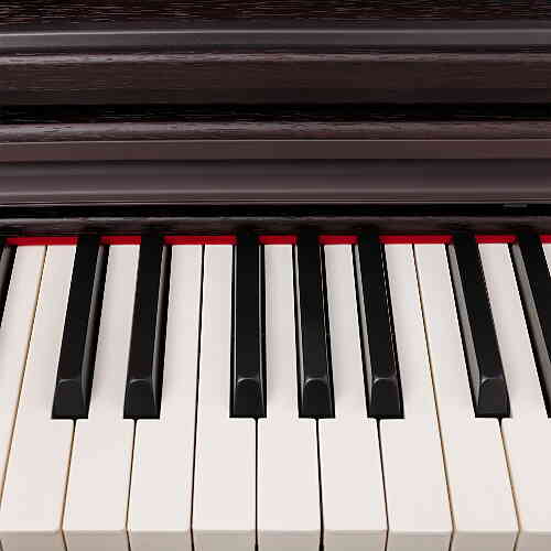 Цифровое пианино ROCKDALE Keys RDP-5088 Rosewood  #6 - фото 6