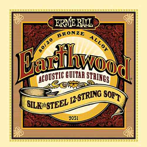 Струны для акустической гитары Ernie Ball P02051 Earthwood Silk & Steel Soft  #1 - фото 1