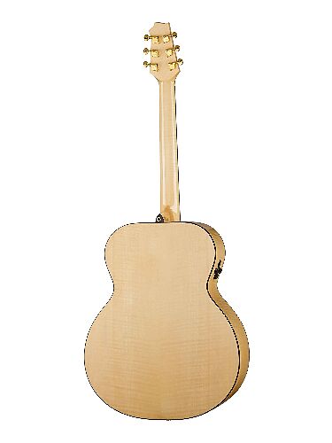 Электроакустическая гитара Alhambra 1.122 AJ-SM E9 с ремнем и чехлом #2 - фото 2