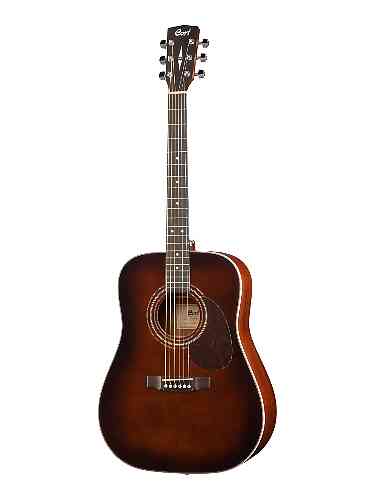 Cort earth store 500