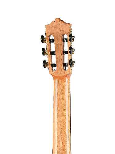 Классическая гитара Martinez MC-58C-JUN Standard Series 3/4 #6 - фото 6