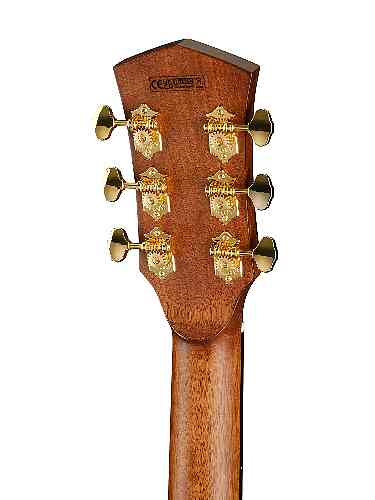 Электроакустическая гитара Cort Gold-A6-Bocote-WCASE-NAT Gold Series с чехлом #6 - фото 6