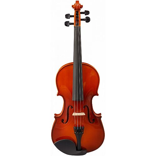 Скрипка 4/4 VESTON VSC-44 PL #1 - фото 1