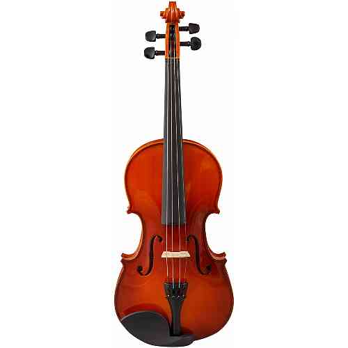 Скрипка 4/4 VESTON VSC-44 PL #1 - фото 1