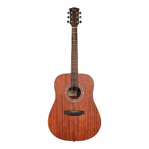 Акустическая гитара Omni D-250M   #1 - фото 1