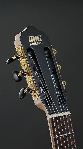 Классическая гитара MIG Guitars LAG1C-BL24 #1 - фото 1