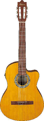 Классическая гитара IBANEZ GA3ECE-OAM #1 - фото 1